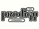 The Prodigy ?– Experience - Double LP Vinyl - [New & Sealed]