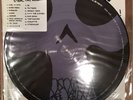 System Of A Down Steal This Album Vinyl LP PICTURE DISC - LIKE NEW