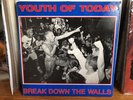 Youth of Today - Break Down The Walls Gorilla Biscuits Minor Threat Bold