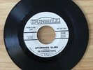 The Storybook People-Afternoon Glare garage psych 45  NM- Dunhill