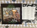 Cryptic Slaughter “Money Talks” Restless/ Death LP #72204-1