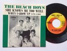 The Beach Boys 45 + Picture Sleeve When I Grow Up MINT