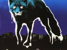The Prodigy - The Night Is My Friend EP (2015) Clear Vinyl Ltd. Edition NEU OVP