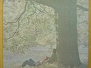 The Beatles John Lennon Plastic Ono Band US LP Apple SW-3372