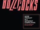 BUZZCOCKS MORE PRODUCT IN A DIFFERENT DOUBLE VINYL LP 180 GRAMS RSD 2016