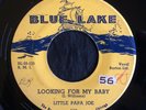 Little Papa Joe, Blue Lake 116, Looking For My Baby & Easy Lovin'