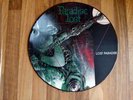 Paradise Lost Vinyl Picture Disc Lost In Paradise UK 1990 VG/Excellent
