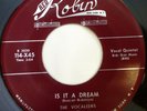 VOCALEERS 45 Is it a dream / Hurry home RED ROBIN Doowop VG++ kz485