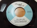 RARE WISCONSIN GARAGE PSYCH-TARGET 1002-LOYAL OPPOSITION-TELLING LIES-45-NICE