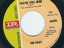 Garage / Psych - The Eggy IMPERIAL 66390 You're still mine / Hookey ?