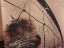 Autographed Pearl Jam Vs LP 12” Black Vinyl Z 53136 Epic USA 1993 COA Silver Pen