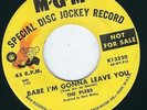 UK Beat Garage The Plebs M.G.M 13320 Babe I'm gonna leave you / Bad blood ? 1965