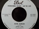 Robin Luke - Dot 15781 - 1958 - 45 RPM Record - PROMO - Vinyl - HAH