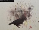 Frightened Rabbit Lp RSD Limited Edition No 80 Sealed copy
