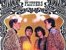 FLIPPERS 