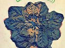 ULTIMATE SPINACH 