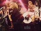 NEW YORK DOLLS 