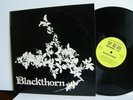 Blackthorn - S/T  WHM 1921  UK LP  1977   Psych Folk Private Press  Signed