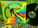 HIGH DESIRES 1969 ORIG   XHOL CARAVAN
