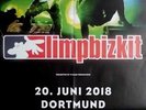 LIMP BIZKIT - 2018 - Konzertplakat - In Concert - Tourposter - Dortmund