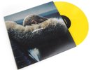 Lemonade — Beyonce (180g, Colored Vinyl) Vinyl 2LP