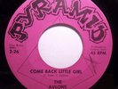  Rock 45 - Avlons - Come Back little Girl - Strong vg+