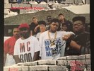 DJ Magic Mike and the Royal Fresh Posse Vinyl Miami BASS NM w/shrink HIP HOP