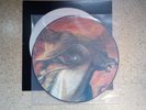 LORDIAN GUARD (WARLORD) - Behold A Pale Horse PICTURE DISC