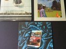Black Mountain / Pink Mountaintops - 3 Album Vinyl Lp Lot