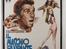 IL MASCHIO RUSPANTE OST Gianni Ferrio CINEVOX MFD 33.61 LP SEALED