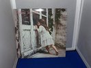 Violent Femmes Vinyl Album