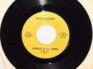 Steven Parks - LATIN SOUL 45 - 