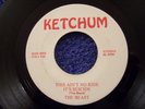 RARE 60s GARAGE THE BEAST ON KETCHUM RECORDS THIS AIN'T NO RIDE IT'S SUICIDE