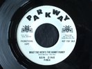 Ben Zine, Parkway 996, What The Heck's The Hanky Panky & Village Of Tears, GREAT