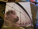 Pearl Jam     Self Titled    Epic Z 53136
