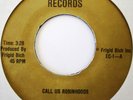 FRIGID BICH Call Us Robinhoods bw You're No Loser 45 PRIVATE PRESS METAL ECLIPSE