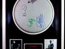RARE OASIS AUTHENTIC SIGNED DRUMSKIN LIAM NOEL GALLAGHER ANDY BELL GEM ARCHER