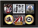 THE WHO - A3 FRAMED GOLD VINYL SIGNED COLLECTORS CD DISPLAY PICTURE