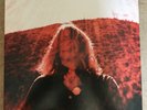 TY SEGALL - MANIPULATOR, 2 LP RARE  ORANGE VINYL, EXCELLENT CONDITION