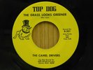 Camel Drivers 45 Grass Looks Greener / Gonna Make You Mine -Top Dog M- MI garage