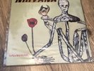 Nirvana Incesticide Vinyl (LP / 12”)