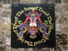 THE INSECT TRUST CAPITOL LABEL PSYCH LP