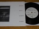 DAISY HILL PUPPY FARM - ROCKET BOY EP - BLONDIE - HEART OF GLASS - EXCELLENT