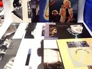 Selection Of 12 Inch Singles From The 1980s POP / ROCK Inc U2, Bryan Adams - H54