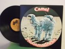 Camel,Janus,