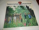 THE PRETTY THINGS , RAININ' IN MY HEART . EP . LISTEN