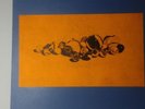 records - sun ra - aurora borealis - el saturn records - 