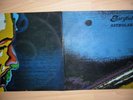 Original Italian Prog Rock GARYBALDI 