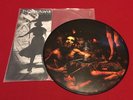 PIG DESTROYER Prowler In the Yard PICTURE DISC VINYL ALBUM + INSERT