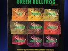 Green Bullfrog Sessions - Ritchie Blackmore  Record/Vinyl Connoisseur NSP LP 503